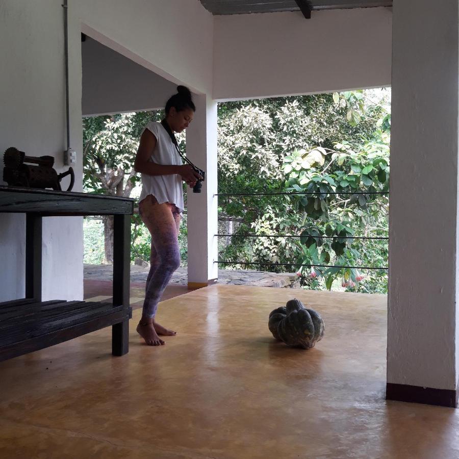 Casa Alibri *