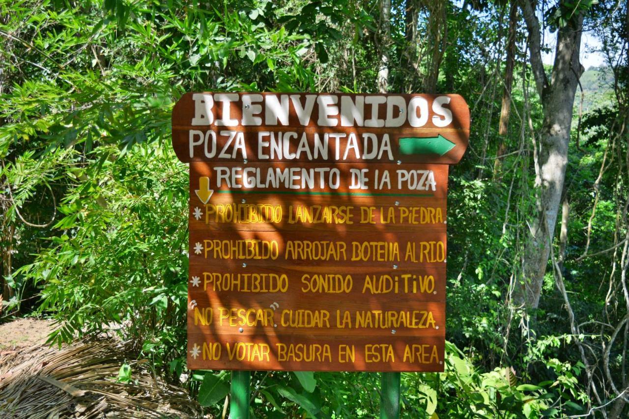 Casa Alibri *